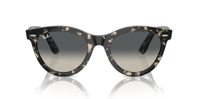 Ray-Ban Unisex Grey Havana