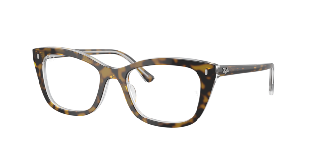 Ray-Ban Unisex Havana On Transparent