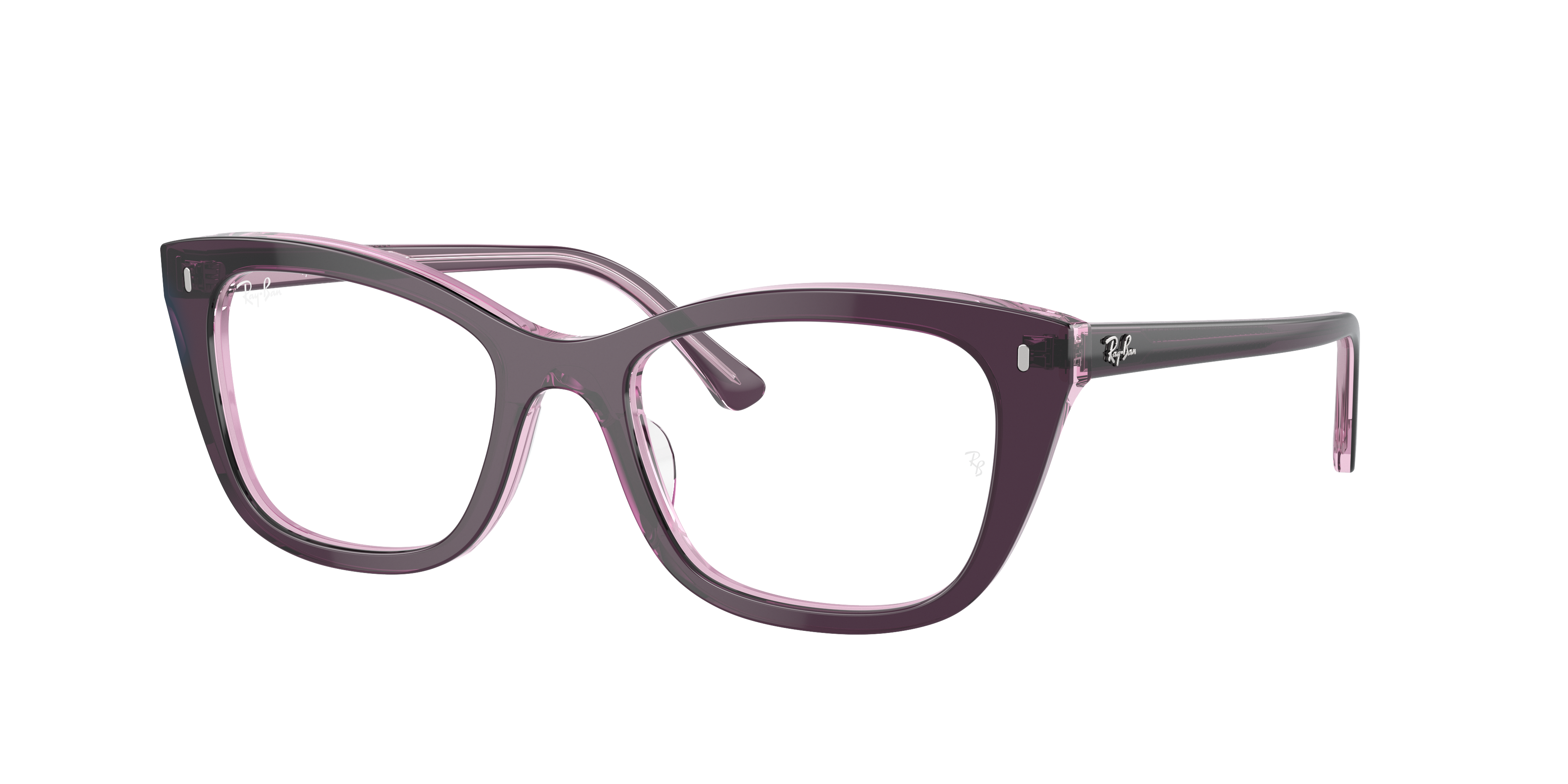 RB5433 Optics