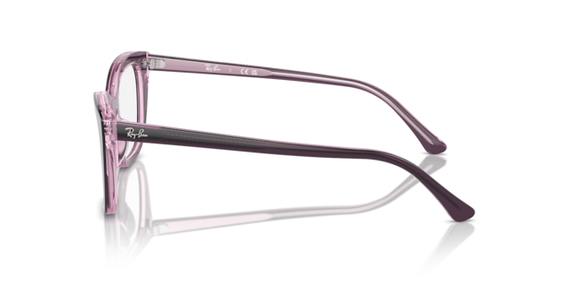 Ray-Ban Unisex Violet On Transparent Pink