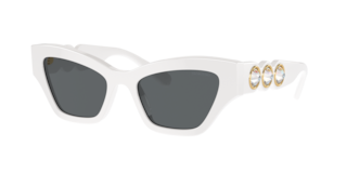 Swarovski SK6021 Sunglasses | LensCrafters