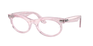 Ray-Ban WAYFARER OVAL OVY大藤氏着用モデル レイバンウェイファーラーオーバルサングラスOVY大藤さん着用