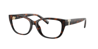 55,000から35,000Tiffany & Co. 2点セット Tiffany TF3095 Sunglasses | LensCrafters
