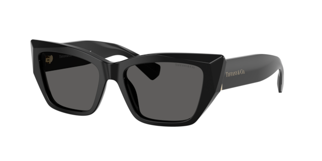 Tiffany Woman Noir