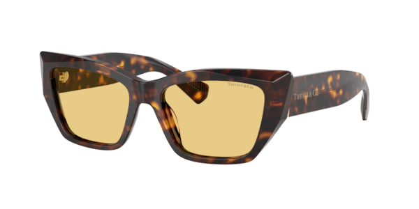 Tiffany TF4230 Sunglasses | LensCrafters display picture 2