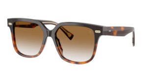 Brunello Cucinelli BC4010S Sunglasses | LensCrafters