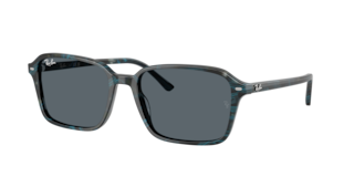 Ray-Ban RB2231 Raimond Sunglasses | LensCrafters