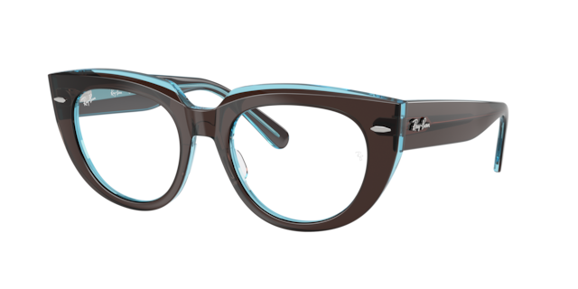 Ray-Ban Woman Brown On Transparent Blue