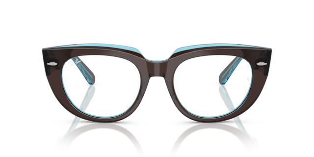 Ray-Ban Woman Brown On Transparent Blue