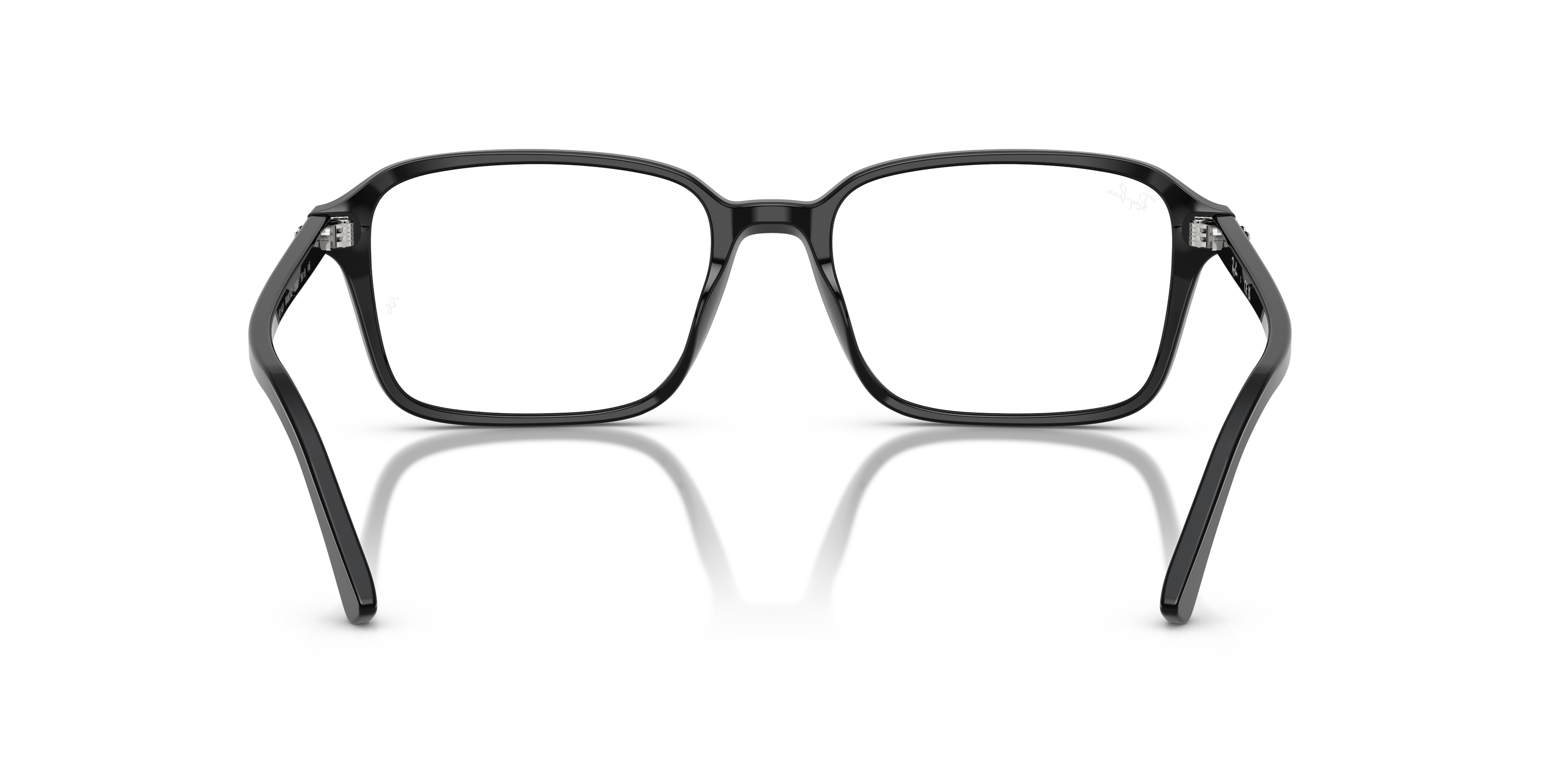 RB5431 Raimond Optics