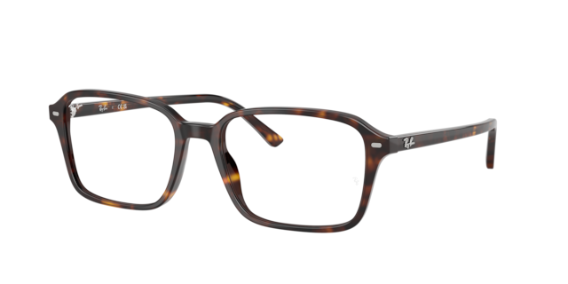 Ray-Ban Unisex Havana