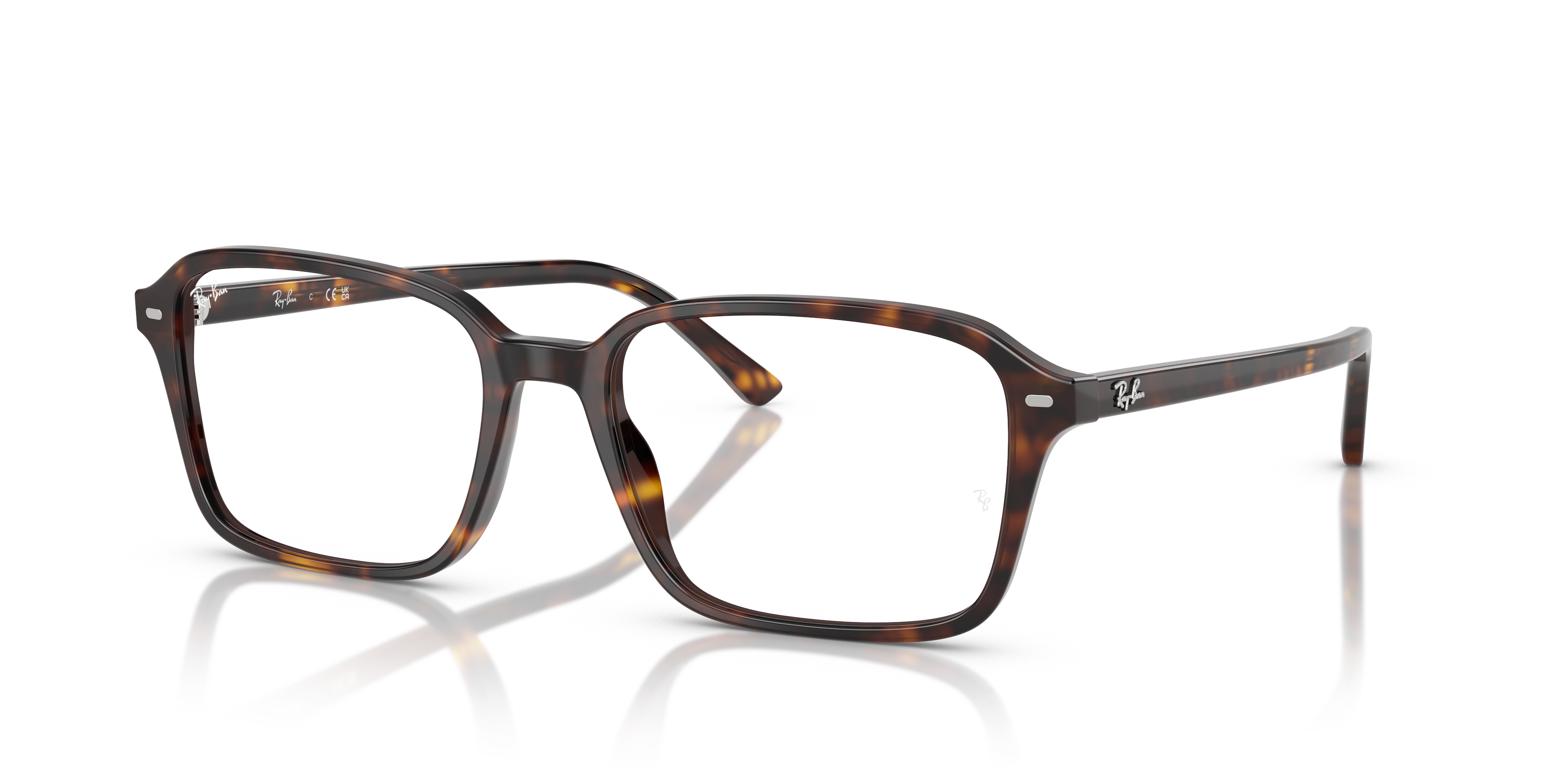RB5431F Raimond Optics