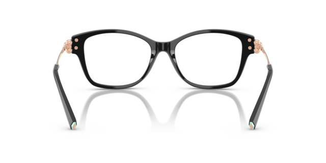 TF2266 back image