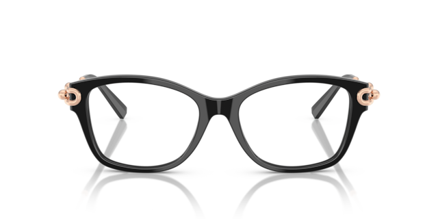 TF2266 front image