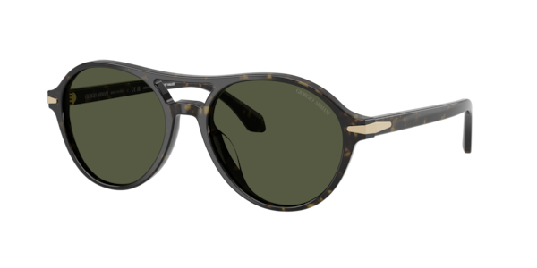 Giorgio Armani AR8236U Sunglasses | LensCrafters