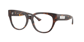 ちゃーこ803530 Jimmy Choo JC3043J Eyeglasses | LensCrafters