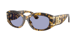 Dolce & Gabbana DG4502 Sunglasses | LensCrafters