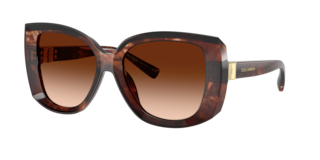 Dolce & Gabbana DG4495 Sunglasses | LensCrafters