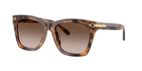 Ralph Lauren RL8235U Sunglasses | LensCrafters