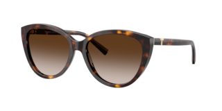 Tiffany TF4251 Sunglasses | LensCrafters