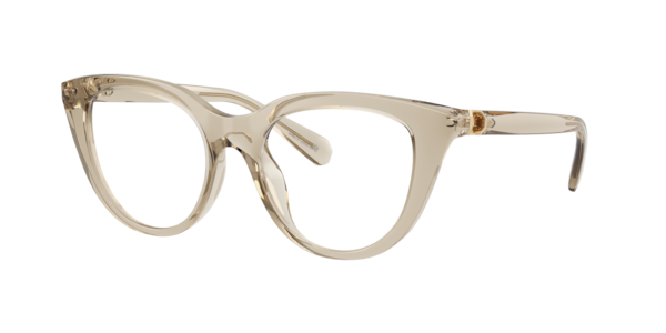 Swarovski SK2052 Eyeglasses | LensCrafters