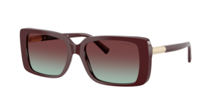 Tiffany TF4249 Sunglasses | LensCrafters