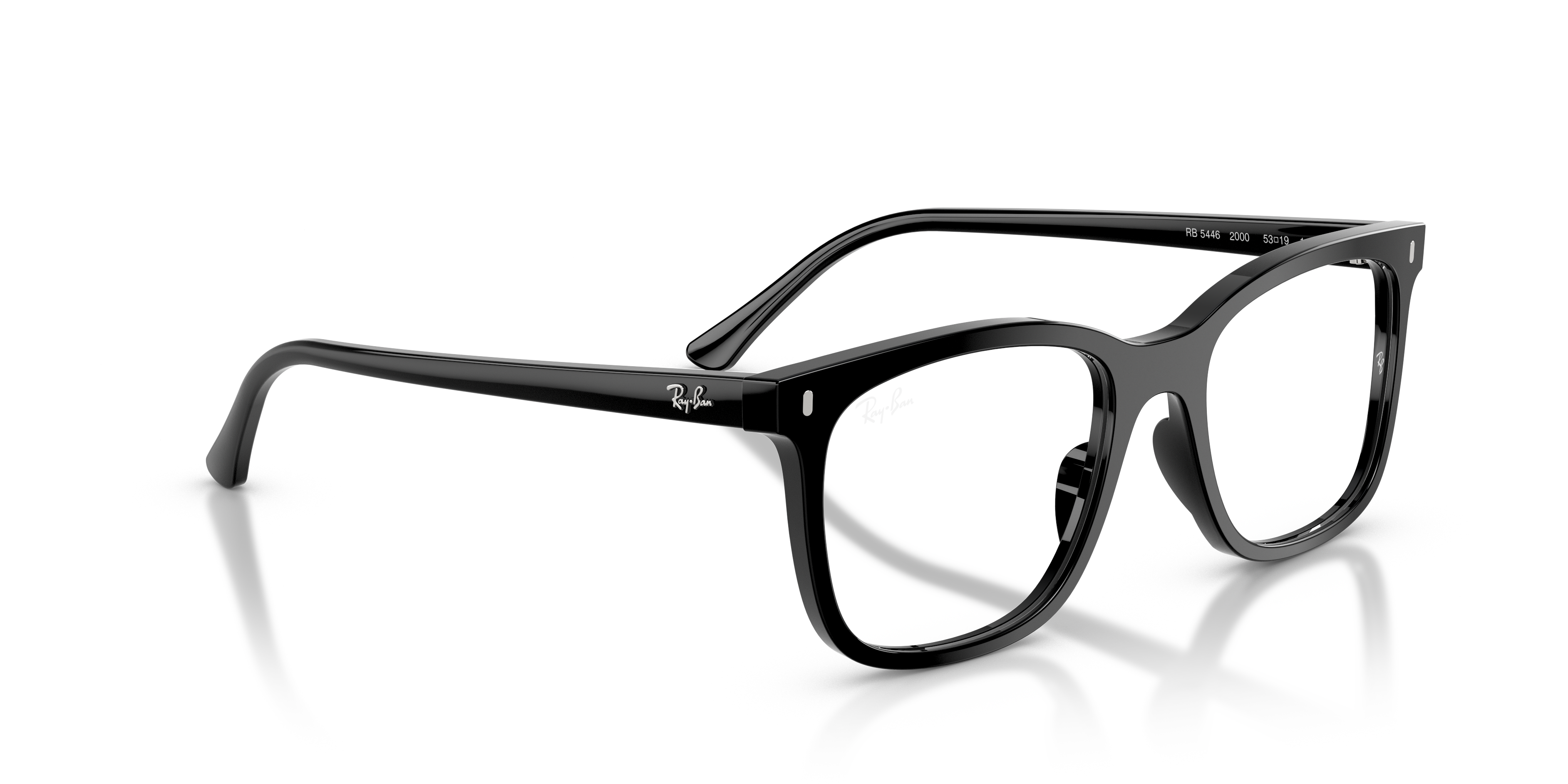 RB5446 Optics