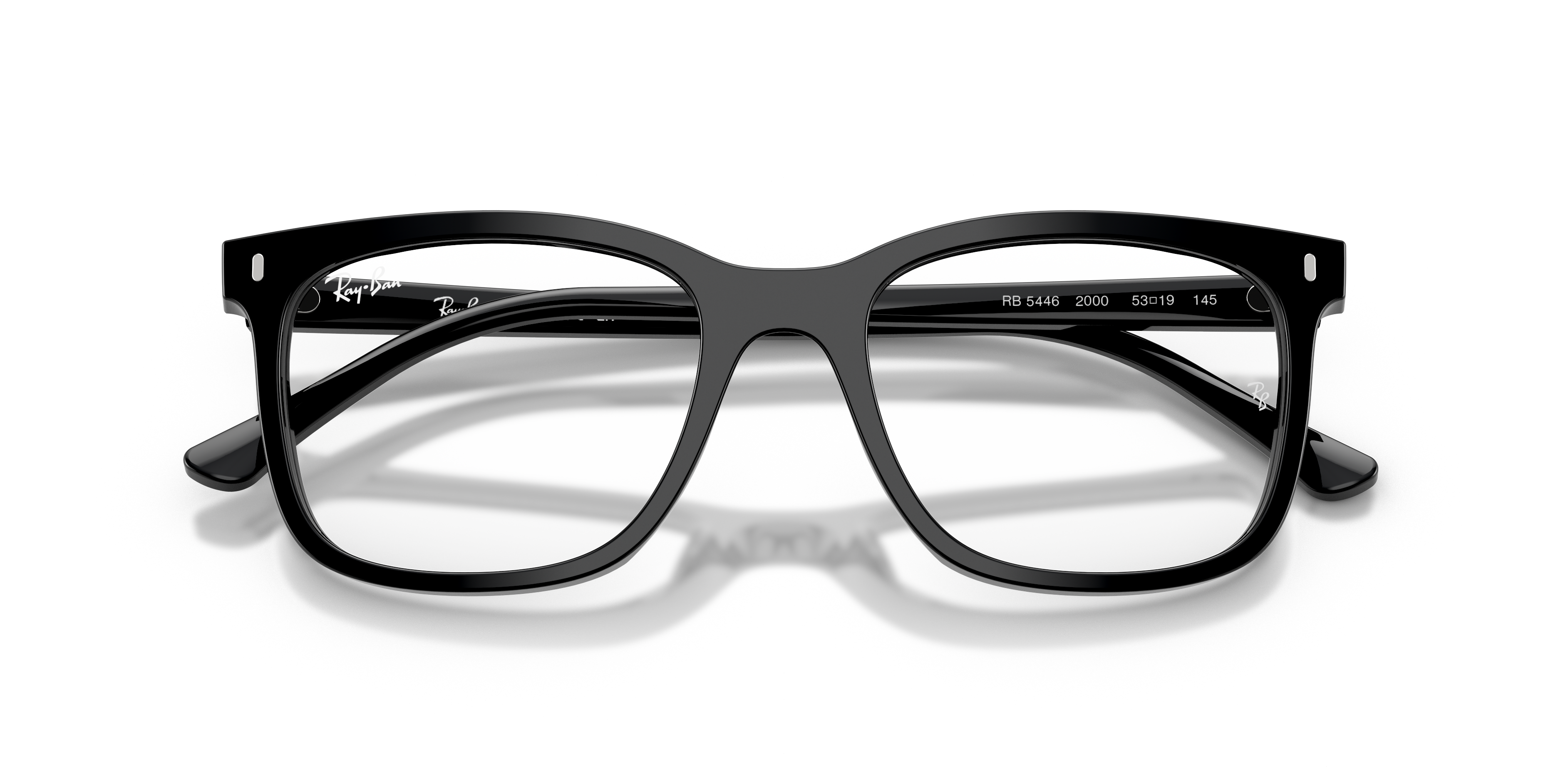 RB5446 Optics