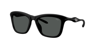 Diesel DL3008U Sunglasses | LensCrafters