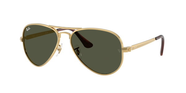 Ray-Ban RB3925 Aviator Max Sunglasses | LensCrafters display picture 2