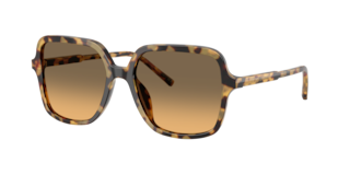 Dolce & Gabbana DG4539 Sunglasses | LensCrafters