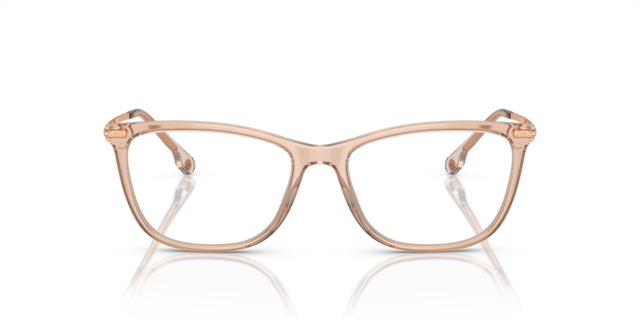 Versace Woman Transparent Brown