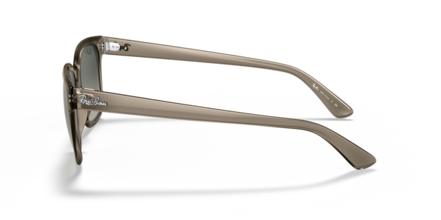 Ray-Ban Unisex Transparent Grey