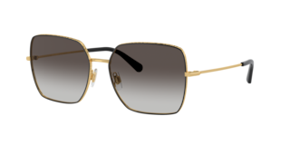 Dolce & Gabbana DG2242 Sunglasses | LensCrafters