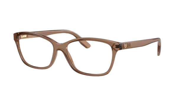 Chaps Woman  Shiny Transparent Brown