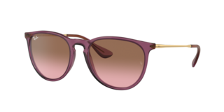 Ray-Ban RB4171 Erika Classic Sunglasses | LensCrafters