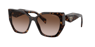 PRADA サングラス Prada PR 19ZS Sunglasses | LensCrafters
