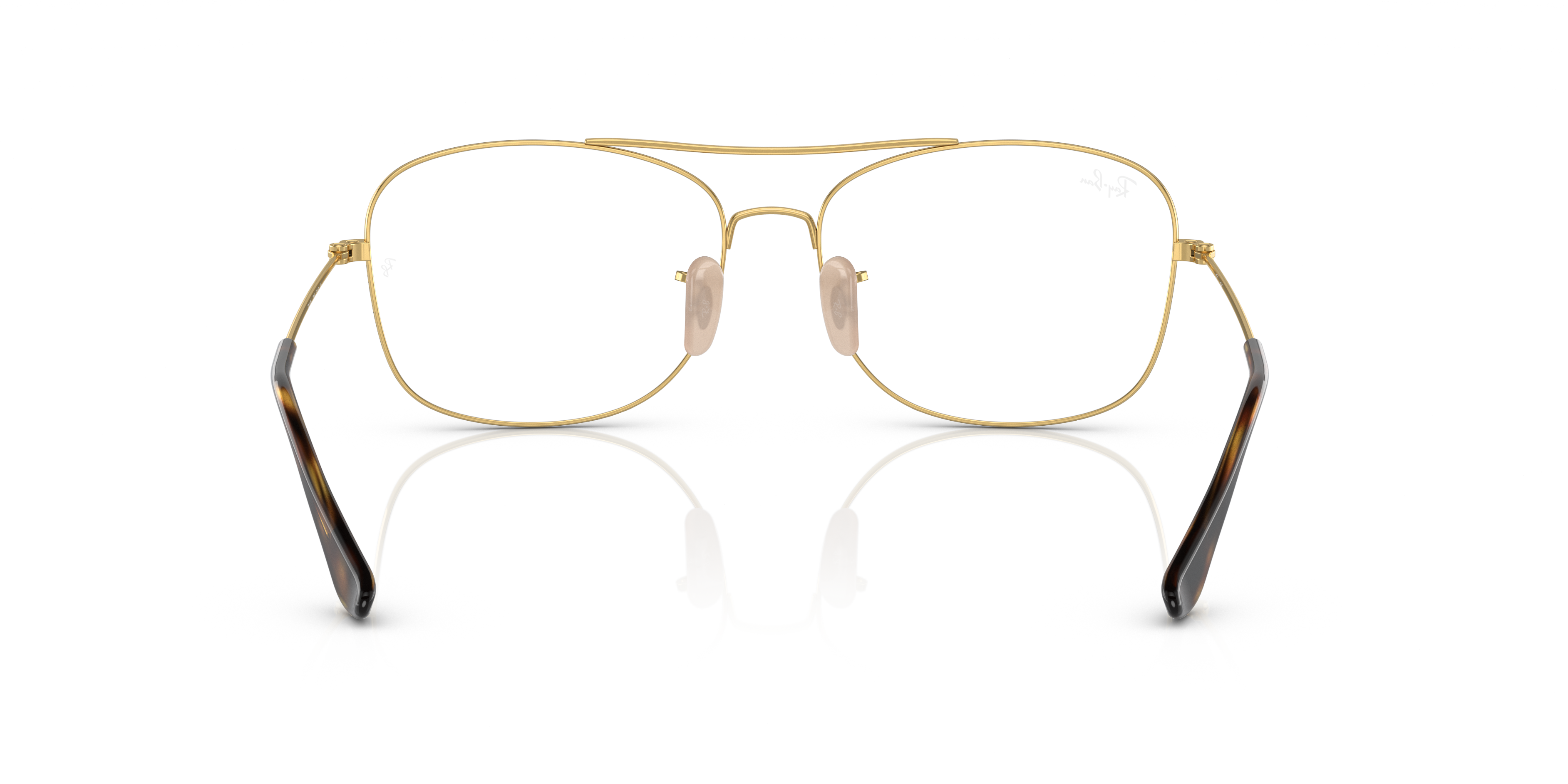 RB6499 Optics