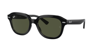 Ray-Ban RB4398 Erik Sunglasses | LensCrafters