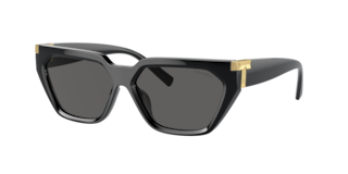Tiffany TF4205U Sunglasses | LensCrafters