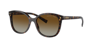 Prada PR 22ZS Sunglasses | LensCrafters