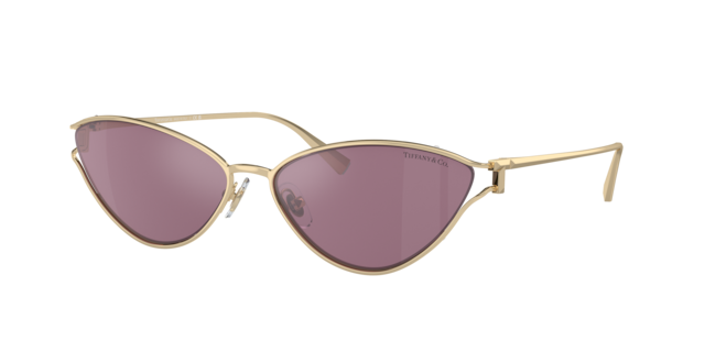 55,000から35,000Tiffany & Co. 2点セット AnyTone AT-D878UVII Plus Plug and Play Package – BridgeCom