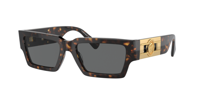 Versace VE4459 Sunglasses | LensCrafters