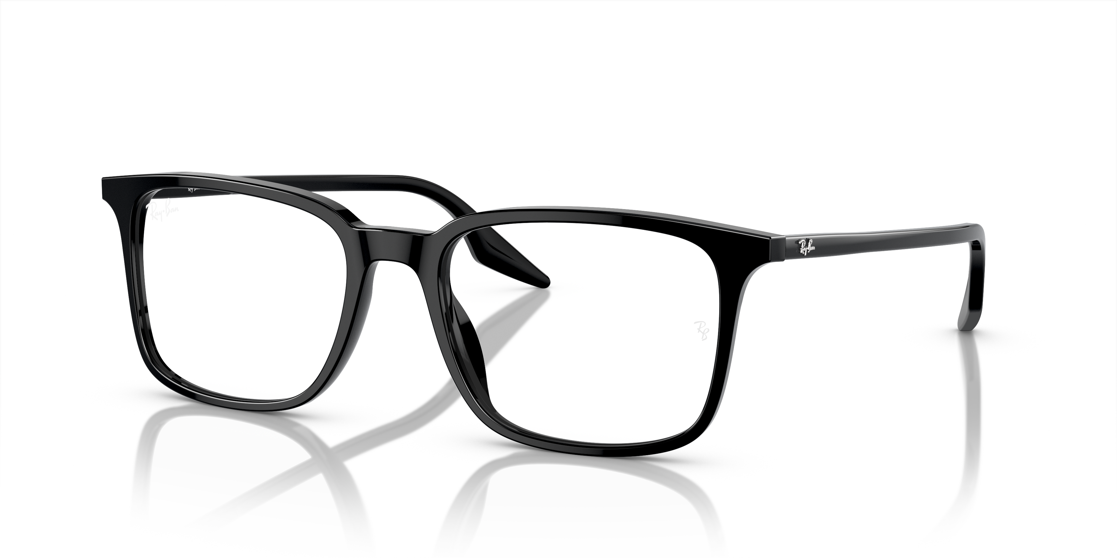 RB5421 Optics