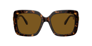 Swarovski SK6001 Sunglasses | LensCrafters