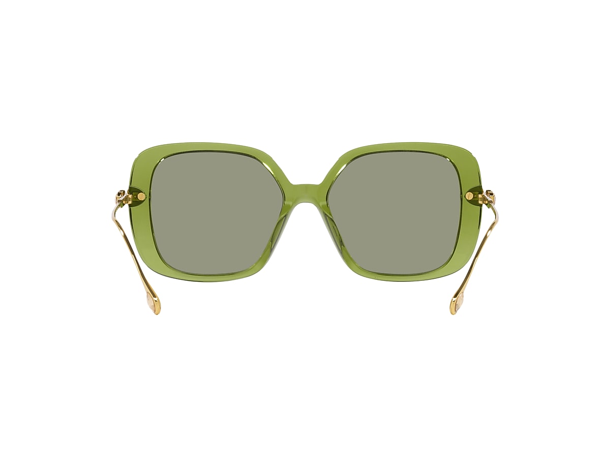 Swarovski SK6011 Sunglasses | LensCrafters