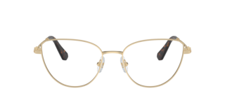 Swarovski SK1007 Eyeglasses | LensCrafters