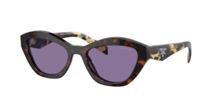 8056597972666__002.png?imwidth=300