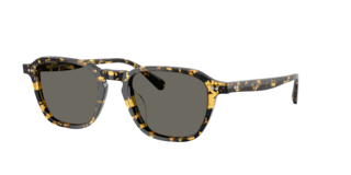 Oliver Peoples OV5598SU Emryn Sunglasses | LensCrafters