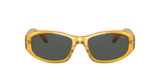arnette lizard